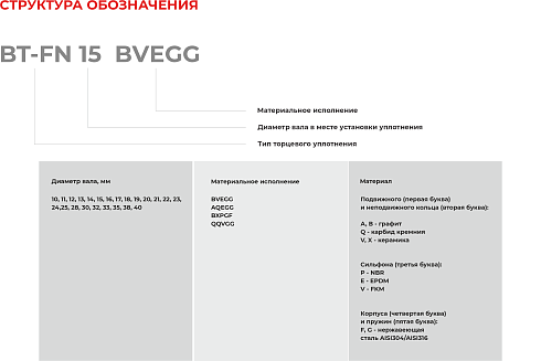 Торцевое уплотнение BT-FN 40 QQVGG в Перми фото